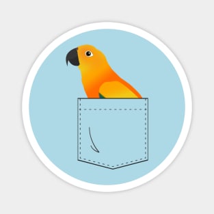 Sun Conure Parrot In Your Front Pocket Magnet